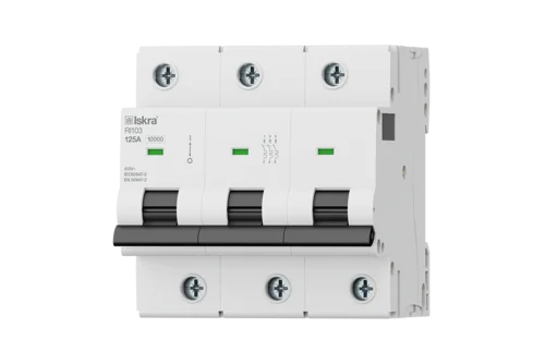 Miniature Circuit Breakers RI100