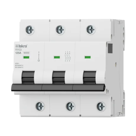 Miniature Circuit Breakers RI100