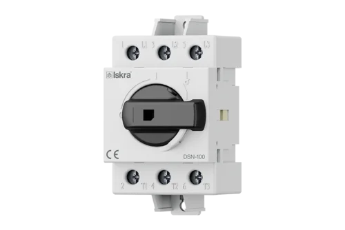 Switch disconnectors DSN